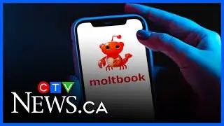 Moltbook: new AI-only social platform lets agents post freely