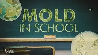 Mom pulls child from school after mold test