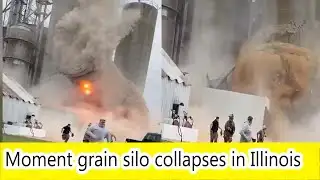 Moment grain silo collapses in Illinois