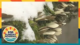 Moment in Wisconsin: Eagle