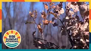 Moment in Wisconsin: Kanow Park