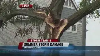 Monday storm knocks down trees, causes power outages