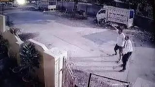 Monkey Attacks on Two People#Man Vs Wild#Youtube#Shorts