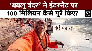 Monkey Vlogger | Babloo Bandar AI | व्लॉगर बंदर बबलू, 100 मिलियन तक कैसे पहुंच गया?