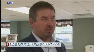 Monongalia County senator wants to create West Virginia DOGE