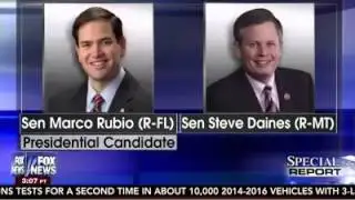 Montana Senator Steve Daines Endorses Marco