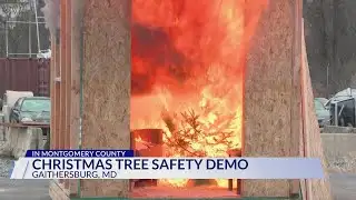 Montgomery County firefighters share Christmas tree safety tips