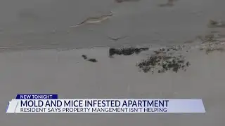Montgomery County man says apartment management not fixing mold, mice problems