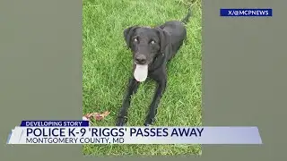 Montgomery County police mourning loss of its K-9