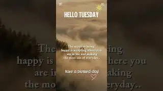 MoonWave Edits shorts complication part 11