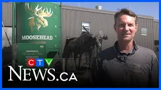 Moosehead Breweries won’t sell beer in bottles