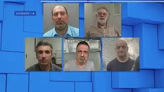 Morale among ICE agents never higher: Director | NewsNation Now