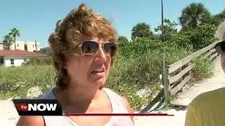 More dead fish reported along Pinellas County beaches