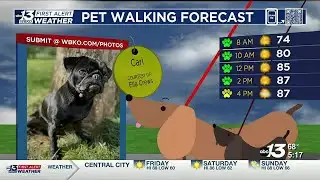 More Sunshine For Friday