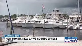 More than 150 laws take effect in Florida Tuesday