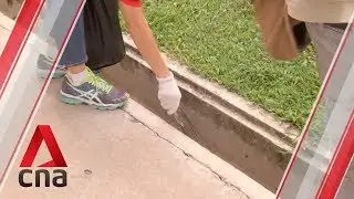 More than 2,200 high-rise litterers caught using surveillance cameras, analytics over 6 years