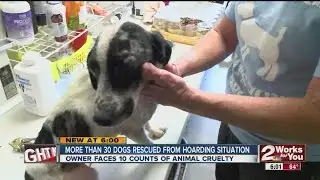 More Than 30 Dogs Rescued From Hoarding Situation
