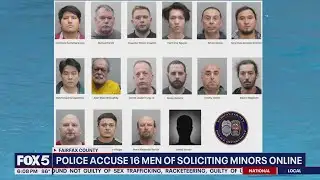 More than a dozen men caught in online child predator sting