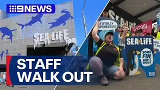 More than a dozen staff walk off job | 9 News Australia