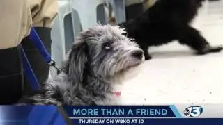 "More than a Friend" - Special Report Promo