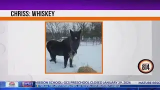 More viewer-submitted snow pics! | Studio 814