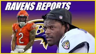 MORE WILD NEWS for Baltimore Ravens...