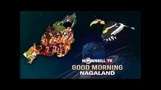 MORNING PULSE  || 26th  OCTOBER 2025 || HORNBILL TV