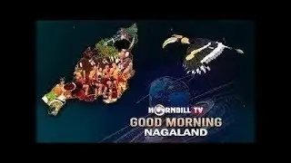 MORNING PULSE  || 29th  OCTOBER 2025 || HORNBILL TV
