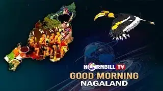 MORNING PULSE || 3rd FEBRUARY 2026 || HORNBILL TV
