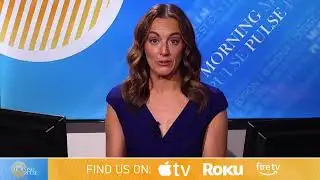 Morning Pulse: November 17, 2025