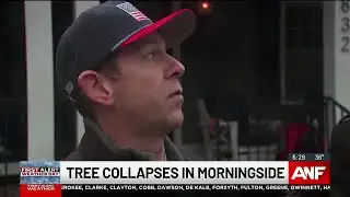 Morningside residents react to large tree collapse
