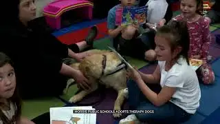 Morris Public Schools Adopt Therapy Dogs