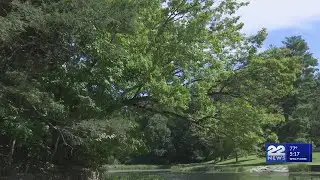 Mosquito-borne illness cases hit record high in 2024