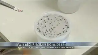 Mosquito pool tests positive for West Nile virus in Douglas