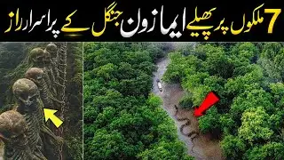 Most Amazing Facts About the Amazon Rainforest