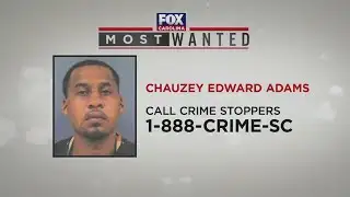 Most Wanted: November 29