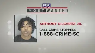 Most Wanted: November 4