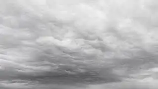 Mostly cloudy, small risk of a shower Friday