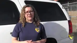 Mountain lion burned in wildfire gets new North Bay home