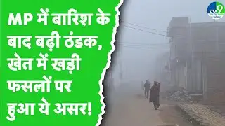 MP Weather Report: Chhatarpur में बदला मौसम का मिजाज, कई इलाकों में छाए घने बादल