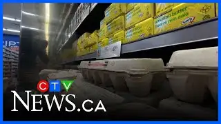 MPs back at it with food insecurity plan