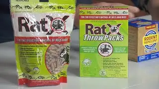 Mr. Fix It Lou Manfredini with tips on keeping rodents away