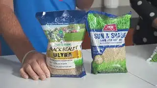 Mr. Fix It with fall lawn care tips