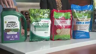 Mr. Fix It with lawn care tips