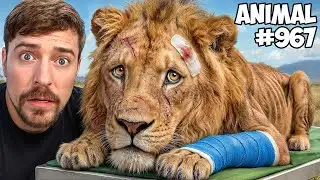 #mrbeast I Saved 1 000 Animals From Dying PART 2