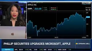 MSFT, AAPL & PLTR Tapped with Upgrades, HUM Downgraded