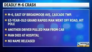 MSP: Man dies at hospital after crash on M-6