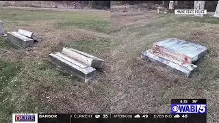 MSP seeking help to catch gravestone vandals