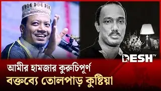 আমির হামজার পুরনো ভিডিও ভাইরাল, তোলপাড় কুষ্টিয়ার রাজনৈতিক অঙ্গন | Mufti Amir Hamza | Desh TV