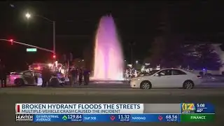 Multi-vehicle crash leads to hydrant flooding streets